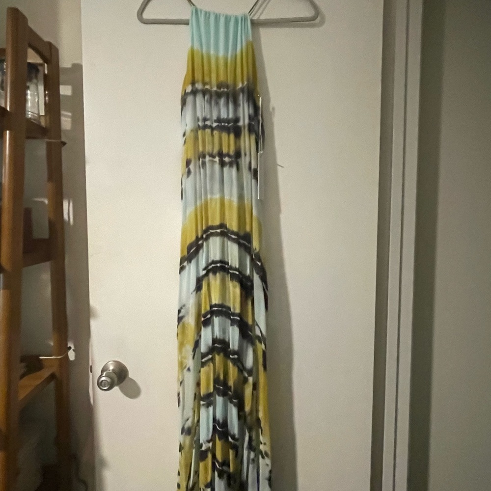 Young fabulous & broke maxi length dress